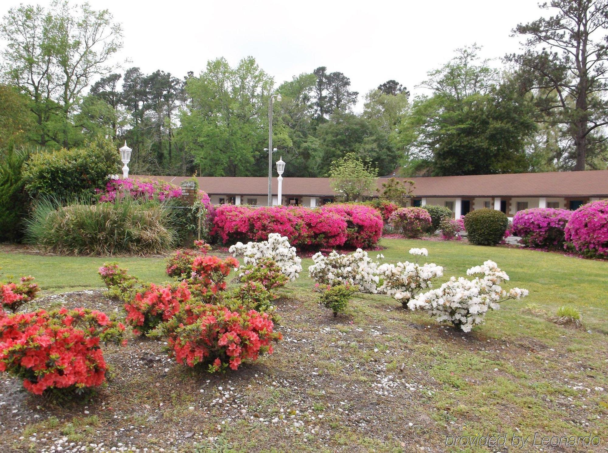 Azalea Inn & Suites Wilmington Luaran gambar